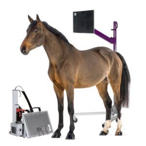 Equine X-Ray Accessories