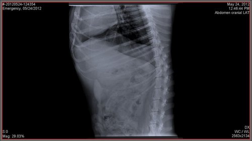 SC-2012-05-24-124717