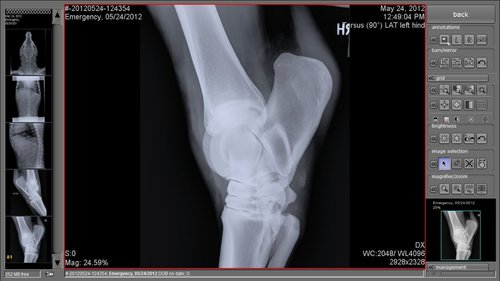 SC-2012-05-24-124920